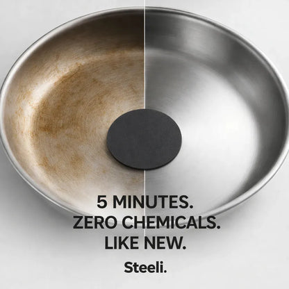 Steeli Sponge for Stainless Steel